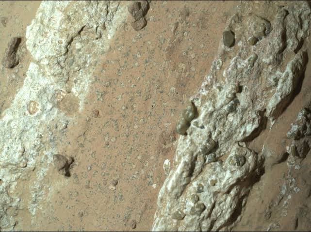 NASA Rover Finds Possible Evidence of Life on Mars